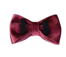 Load image into Gallery viewer, Luxury Pet Leash Engraved Name ID Tag + Collar + Bow - Free Engraving Personalise (all Sizes)