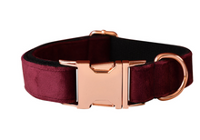 Load image into Gallery viewer, Luxury Pet Leash Engraved Name ID Tag + Collar + Bow - Free Engraving Personalise (all Sizes)