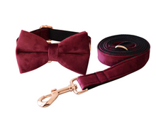 Load image into Gallery viewer, Luxury Pet Leash Engraved Name ID Tag + Collar + Bow - Free Engraving Personalise (all Sizes)