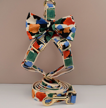 Load image into Gallery viewer, Luxury Pet Leash Engraved Name ID Tag + Harness + Bow Tie - Free Engraving Personalise (all Sizes) Many Styles