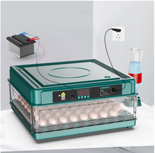 Load image into Gallery viewer, 10/12 Eggs Incubator for Chicken Goose Bird Quail Automatic Incubation Equipment Hatchery Incubation