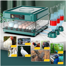 Load image into Gallery viewer, 10/12 Eggs Incubator for Chicken Goose Bird Quail Automatic Incubation Equipment Hatchery Incubation