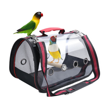 Load image into Gallery viewer, Transport Carrier - Canary, Lovebird, Budgie, Finch, Rabbit, Rat, Mouse Carry Cage + Perch (Large)