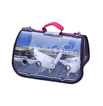 Load image into Gallery viewer, Transport Carrier - Canary, Lovebird, Budgie, Finch, Rabbit, Rat, Mouse Carry Cage + Perch (Large)
