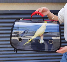 Load image into Gallery viewer, Transport Carrier - Canary, Lovebird, Budgie, Finch, Rabbit, Rat, Mouse Carry Cage + Perch (Medium)