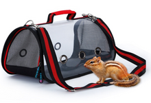 Load image into Gallery viewer, Transport Carrier - Canary, Lovebird, Budgie, Finch, Rabbit, Rat, Mouse Carry Cage + Perch (Small)