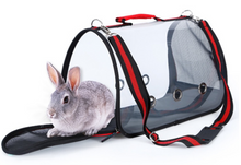 Load image into Gallery viewer, Transport Carrier - Canary, Lovebird, Budgie, Finch, Rabbit, Rat, Mouse Carry Cage + Perch (Small)