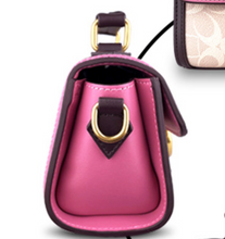 Load image into Gallery viewer, Limited Edition - Luxury Designer Multi-Coloured Horse & Carriage Handbag