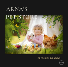 Load image into Gallery viewer, 10/12 Eggs Incubator for Chicken Goose Bird Quail Automatic Incubation Equipment Hatchery Incubation