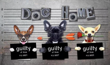 Load image into Gallery viewer, "Arna Collection" - Wall Paper - Hand-Painted Pet Restaurant, Pet Shop, Background Wall Wallpaper - Perfect for Feature Walls 16 Square Meter