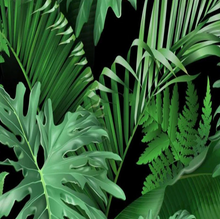 Load image into Gallery viewer, "Arna Collection" - Feature Wall - 3D Green Leaf Wall Sticker Removable - 14 Square Meters (Many Sizes)