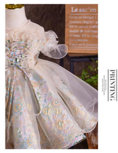 Load image into Gallery viewer, Arna Royal Gown Collection - European Vintage Court Victorian Court Dress Girl