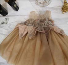 Load image into Gallery viewer, Arna Royal Gown Collection - Beautiful Golden Stunning Dress for Girls
