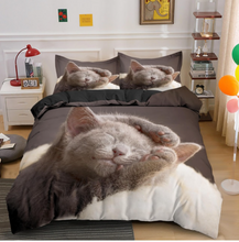 Load image into Gallery viewer, 3D Kitten Bedding Set 3 Pcs Duvet Cover & Pillowcases
