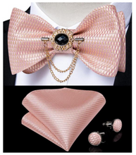 Load image into Gallery viewer, Designer Business Silk Bow Tie Brooch Pin Set - Many Colours