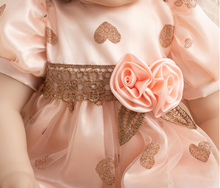 Load image into Gallery viewer, Arna Lisa Collection - Baby Alesha - 60cm Silicone Vinyl Newborn Doll