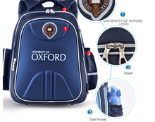 Load image into Gallery viewer, "Arna's Designer School Bags" New High Quality OXFORD Orthopedic School Bag