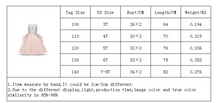 Load image into Gallery viewer, &quot;Arna&quot; Royal Gown Collection - Rainbow Princess Dresses
