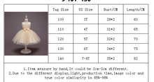 Load image into Gallery viewer, &quot;Arna&quot; Royal Gown Collection - Rainbow Princess Dresses
