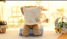 Load image into Gallery viewer, Children&#39;s T Bear &quot;Peek-a-Boo&quot; Electric Facial Turning Plush Movable Bear
