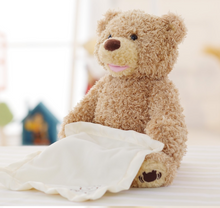 Load image into Gallery viewer, Children&#39;s T Bear &quot;Peek-a-Boo&quot; Electric Facial Turning Plush Movable Bear
