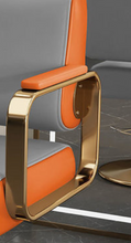 Load image into Gallery viewer, Professional Hairdressing Salon Barber Chair - Many Colours

