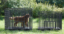 Load image into Gallery viewer, Commercial Grade Professional Animal Cage on Wheels
