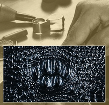 Load image into Gallery viewer, Crocodile Genuine Leather 2 Piece Luggage Set - Brown or Black - Many Styles 20&quot;
