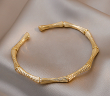 Load image into Gallery viewer, Women&#39;s Gold or Silver Bangle
