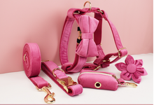 Load image into Gallery viewer, Luxury Pet Leash Engraved Name ID Tag + Collar + Bow/Flower - Free Engraving Personalise + Harness + Poop Bag (all Sizes)
