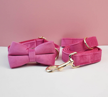 Load image into Gallery viewer, Luxury Pet Leash Engraved Name ID Tag + Collar + Bow/Flower - Free Engraving Personalise + Harness + Poop Bag (all Sizes)
