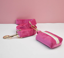 Load image into Gallery viewer, Luxury Pet Leash Engraved Name ID Tag + Collar + Bow Tie - Free Engraving Personalise + Harness + Poop Bag (all Sizes)
