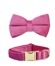 Load image into Gallery viewer, Luxury Pet Leash Engraved Name ID Tag + Collar + Bow/Flower - Free Engraving Personalise + Harness + Poop Bag (all Sizes)
