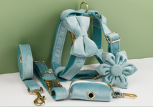 Load image into Gallery viewer, Luxury Pet Leash Engraved Name ID Tag + Collar + Flower/Bow Tie - Free Engraving Personalise + Harness + Poop Bag (all Sizes)
