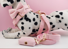 Load image into Gallery viewer, Luxury Pet Leash Engraved Name ID Tag + Collar + Bow Tie - Free Engraving Personalise + Harness + Poop Bag (all Sizes)
