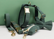 Load image into Gallery viewer, Luxury Pet Leash Engraved Name ID Tag + Collar + Bow Tie - Free Engraving Personalise + Harness + Poop Bag (all Sizes)
