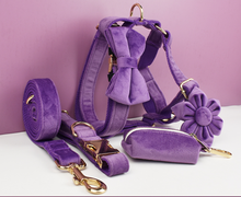Load image into Gallery viewer, Luxury Pet Leash Engraved Name ID Tag + Collar + Flower/Bow Tie - Free Engraving Personalise + Harness + Poop Bag (all Sizes)
