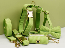 Load image into Gallery viewer, Luxury Pet Leash Engraved Name ID Tag + Collar + Bow Tie - Free Engraving Personalise + Harness + Poop Bag (all Sizes)
