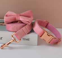 Load image into Gallery viewer, Luxury Pet Leash Engraved Name ID Tag + Collar + Bow - Free Engraving Personalise (all Sizes)
