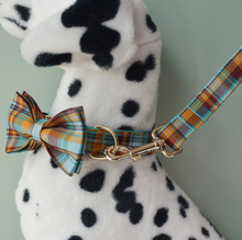 Load image into Gallery viewer, Luxury Pet Leash Engraved Name ID Tag + Collar + Bow - Free Engraving Personalise (all Sizes)
