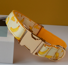 Load image into Gallery viewer, Luxury Pet Leash Engraved Name ID Tag + Collar + Bow - Free Engraving Personalise (all Sizes)
