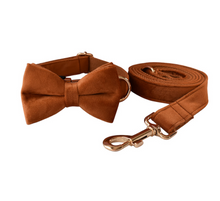 Load image into Gallery viewer, Luxury Pet Leash Engraved Name ID Tag + Collar + Bow - Free Engraving Personalise (all Sizes)
