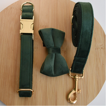 Load image into Gallery viewer, Luxury Pet Leash Engraved Name ID Tag + Collar + Bow - Free Engraving Personalise (all Sizes)
