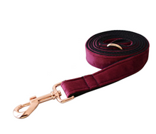 Load image into Gallery viewer, Luxury Pet Leash Engraved Name ID Tag + Collar + Bow - Free Engraving Personalise (all Sizes)
