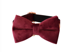 Load image into Gallery viewer, Luxury Pet Leash Engraved Name ID Tag + Collar + Bow - Free Engraving Personalise (all Sizes)
