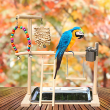 Load image into Gallery viewer, Bird Wooden Play Gym, Bath, Feeder, Perch, Ladder
