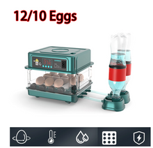Load image into Gallery viewer, 10/12 Eggs Incubator for Chicken Goose Bird Quail Automatic Incubation Equipment Hatchery Incubation
