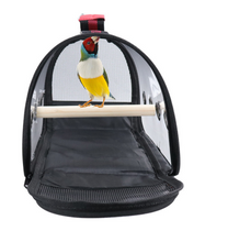 Load image into Gallery viewer, Transport Carrier - Canary, Lovebird, Budgie, Finch, Rabbit, Rat, Mouse Carry Cage + Perch (Medium)
