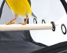 Load image into Gallery viewer, Transport Carrier - Canary, Lovebird, Budgie, Finch, Rabbit, Rat, Mouse Carry Cage + Perch (Medium)
