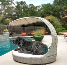 Load image into Gallery viewer, Luxury Plus Furniture - Nordic Rattan Pet Chair Bed Sunshade
